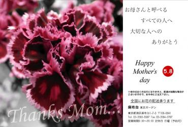 PR｜ポストカード（母の日1）｜「東京ガーデン」　（東京都港区の花キューピット加盟店 花屋）のブログ